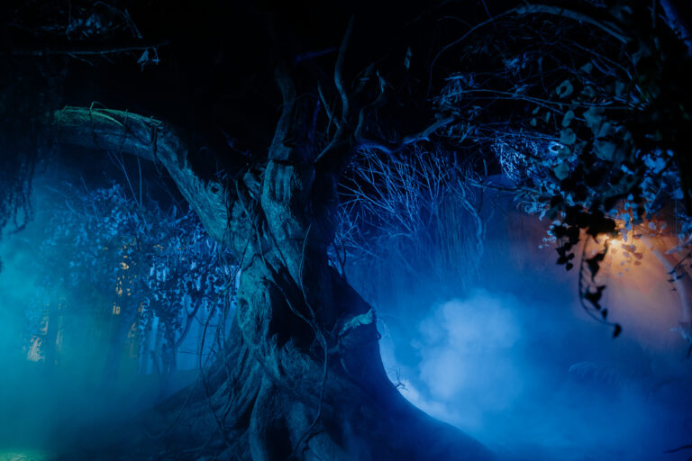 The Conjuring Universe Tour