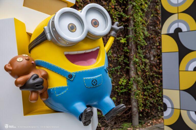 A Minion's Perspective