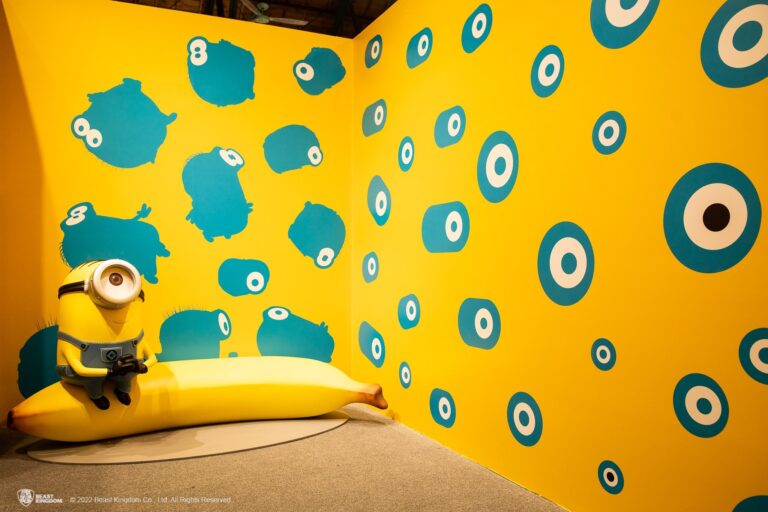 A Minion's Perspective